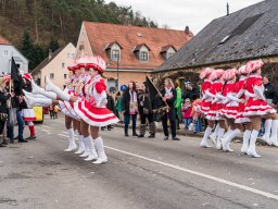 Faschingszug Diesenbach 2025_82